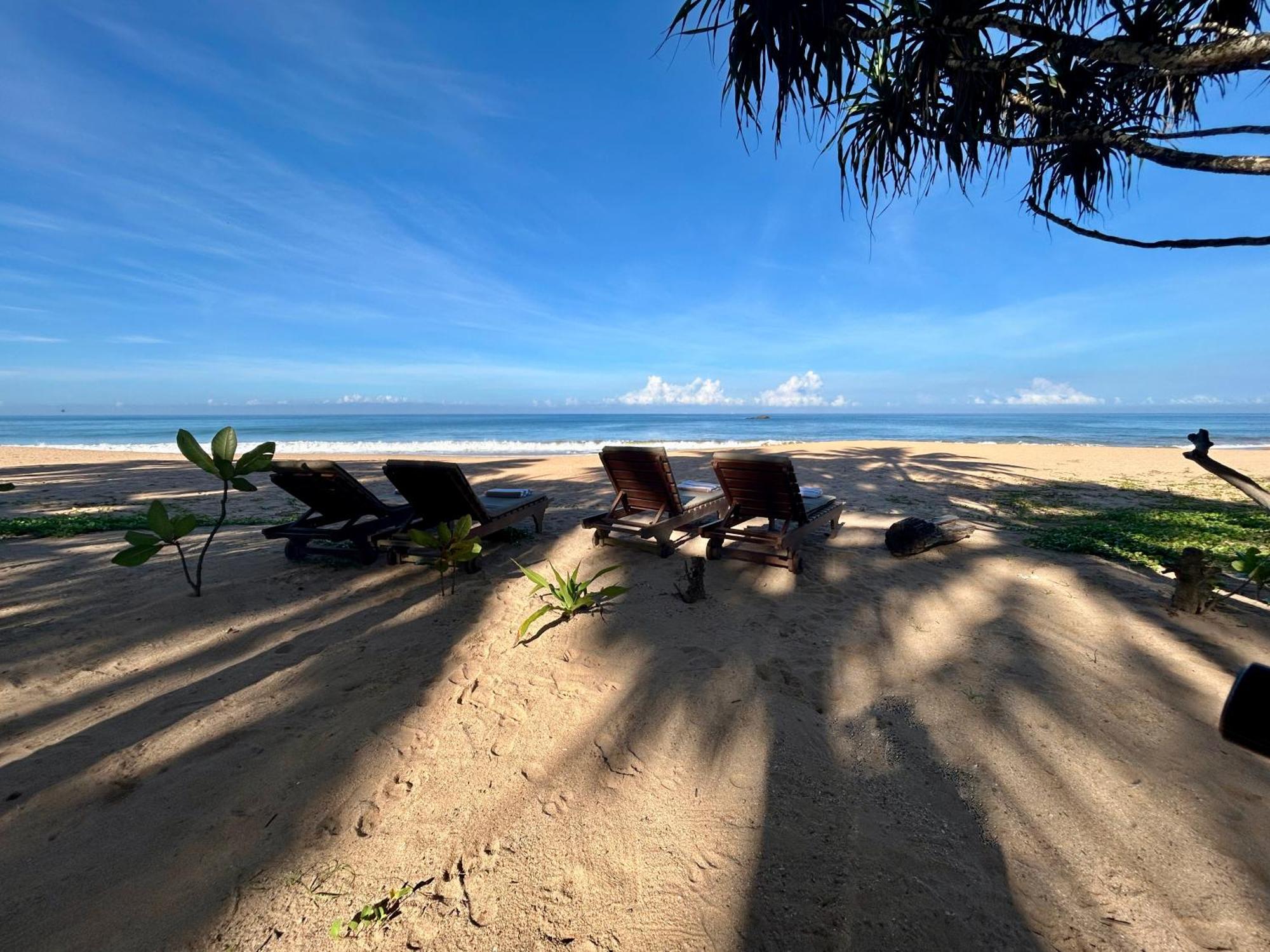 Cookie Aunt Beach Hotel Bentota Buitenkant foto